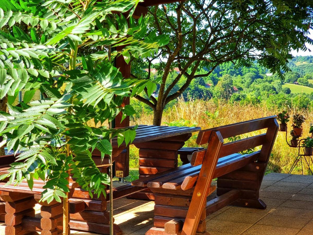 Guesthouse Mreznica- Mreznicka Idila Resort Galović-Selo エクステリア 写真