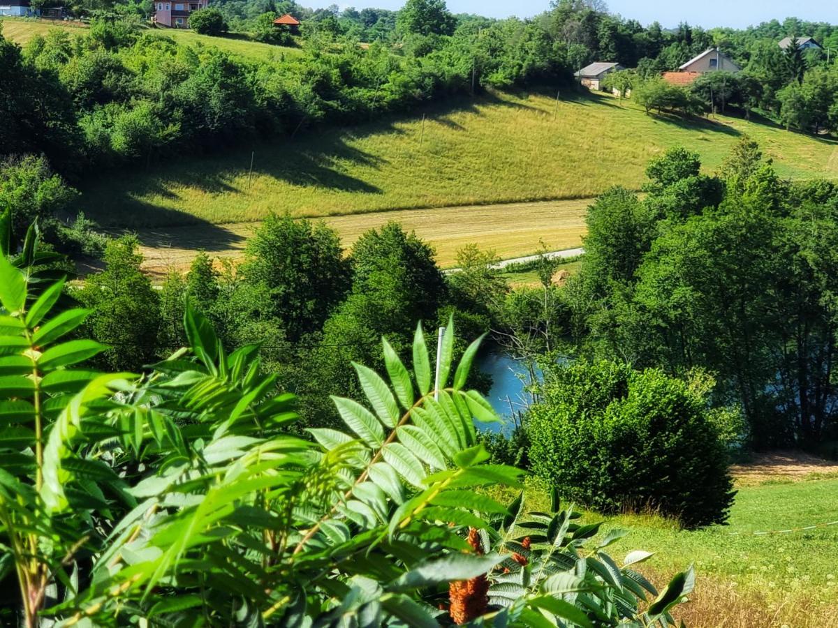 Guesthouse Mreznica- Mreznicka Idila Resort Galović-Selo エクステリア 写真