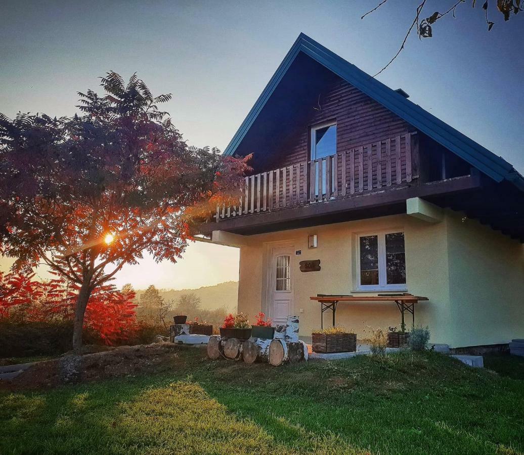 Guesthouse Mreznica- Mreznicka Idila Resort Galović-Selo エクステリア 写真